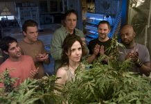 Sequência da série ‘Weeds’, com Mary-Louise Parker está em desenvolvimento