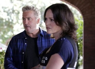 William Petersen e Jorja Fox devem fazer parte do especial de 20 anos de ‘CSI’