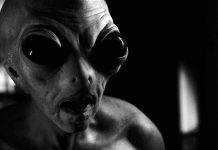American Horror Story Double Feature 10×07: Take me to Your Leader