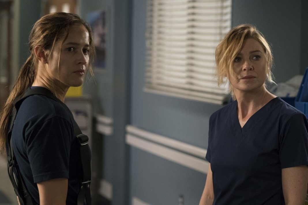 meredith-grey-a-direita-participa-de-episodio-de-station-19-1547495256518_v2_4x3