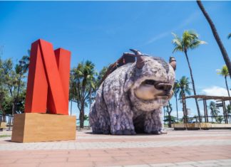 ‘Avatar: O Último Mestre do Ar’: Appa aterrissa em Recife em comemoração ao lançamento da série