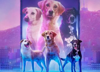 Netflix lança campanha de adoção inspirada no filme ‘Caramelo’